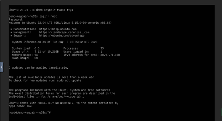 Login ke Instance Menggunakan Keypair Melalui Konsol