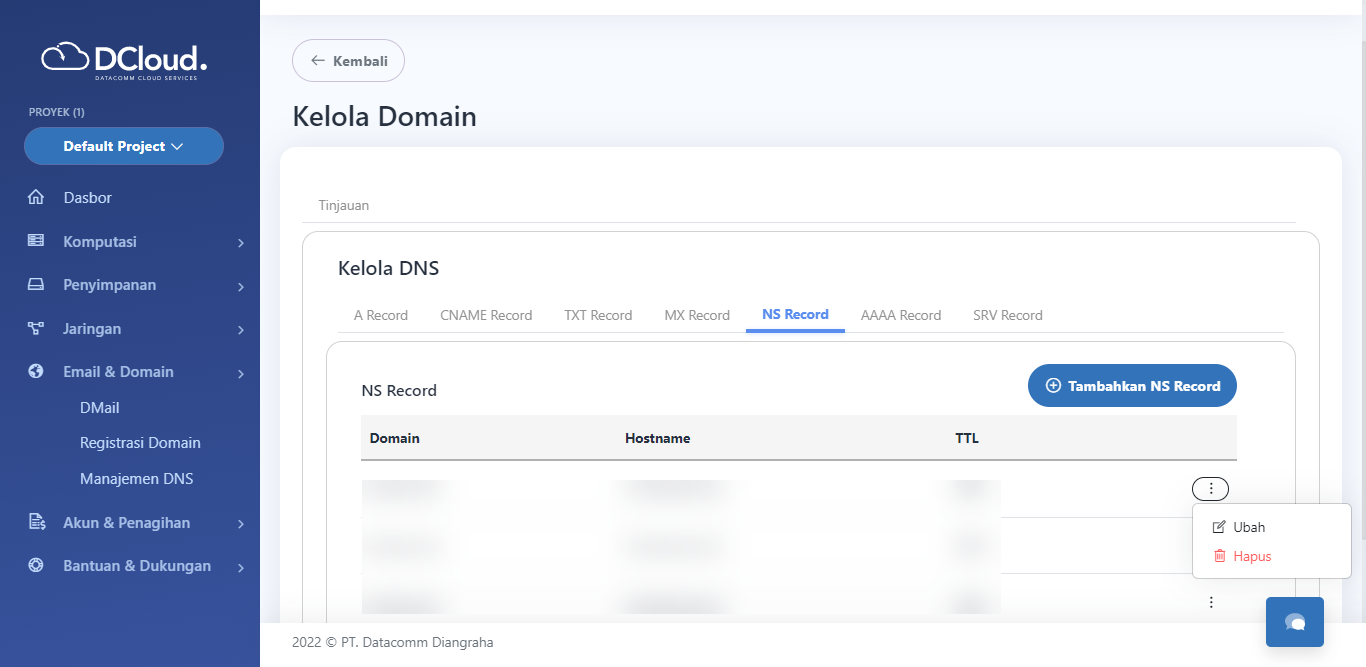 Halaman Detail NS Record