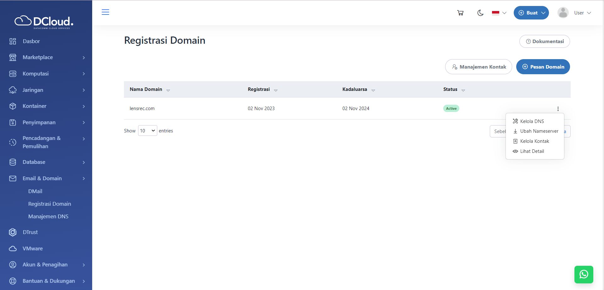 Halaman Pilihan Kelola DNS