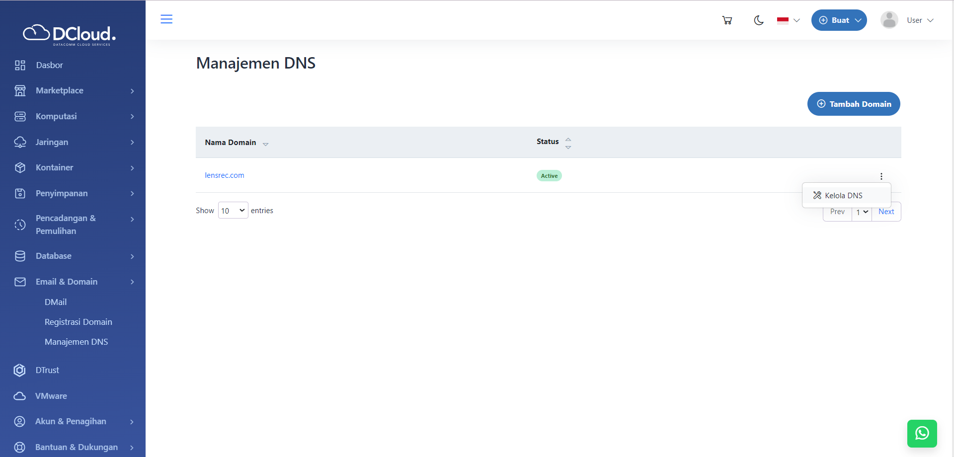 Halaman Pilihan Kelola DNS
